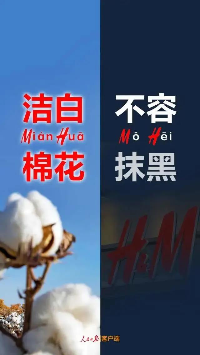 潔白棉花，不容抹黑